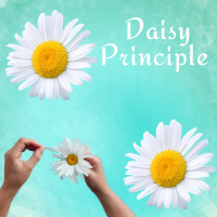 Thumbnail The Daisy Principle   (2).png